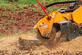 Best Aeration Services  in Williston, SC